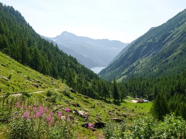 Lago de anciano — Foto de Stock