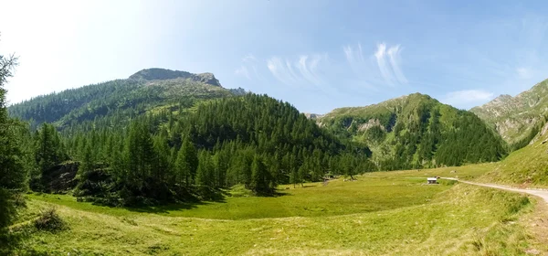 Val sambuco towards the lake Naret — Stock Photo, Image