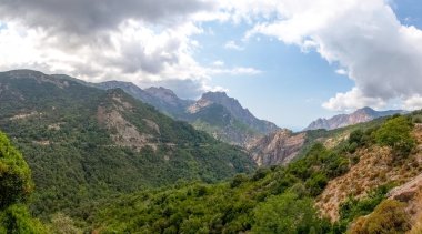 Col Vergio