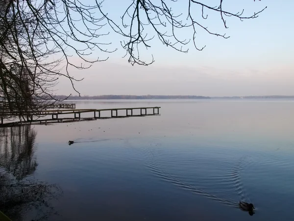 Bad Zwischenahn, göl manzarasına akşam. — Stok fotoğraf