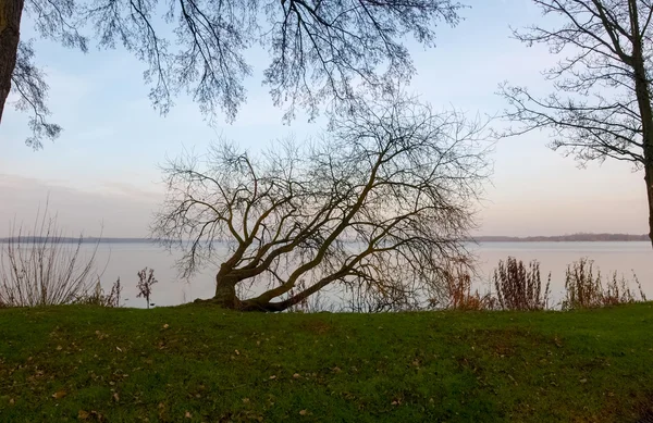 Бад-Цвишенан, вечерний вид на озеро . — стоковое фото