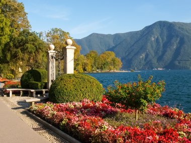 Lugano, İsviçre. Botanik park resim