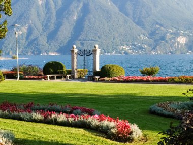 Lugano, İsviçre. Botanik park resim