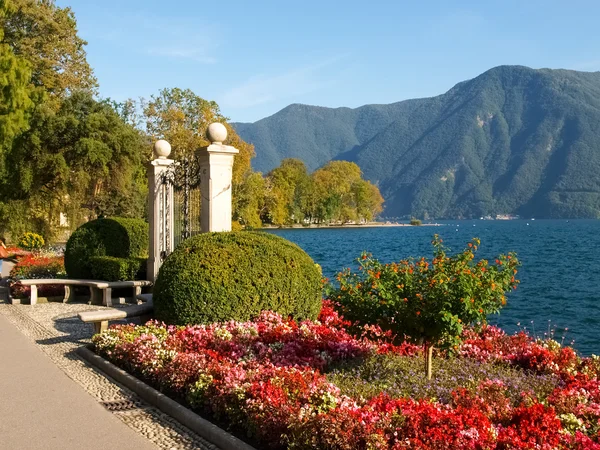 Lugano、スイス連邦共和国。植物の公園からの画像します。 — ストック写真