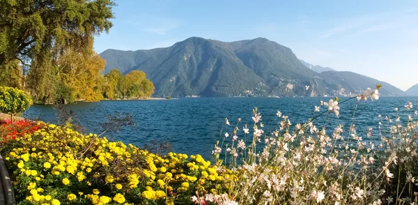 Lugano，瑞士。从植物公园图片 — 图库照片