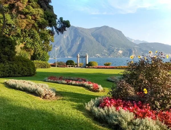 Lugano、スイス連邦共和国。植物の公園からの画像します。 — ストック写真