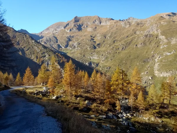 Valley of Sambuco — Stock Photo, Image