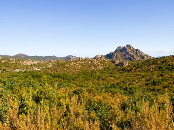 Deserto de agriados — Fotografia de Stock