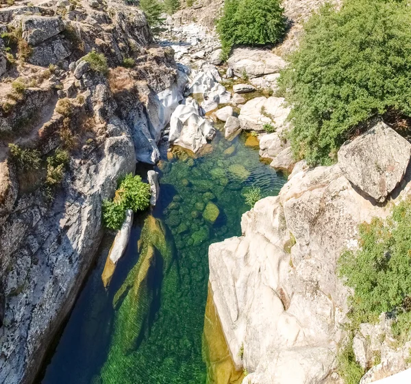 Vallée du Golo — Photo