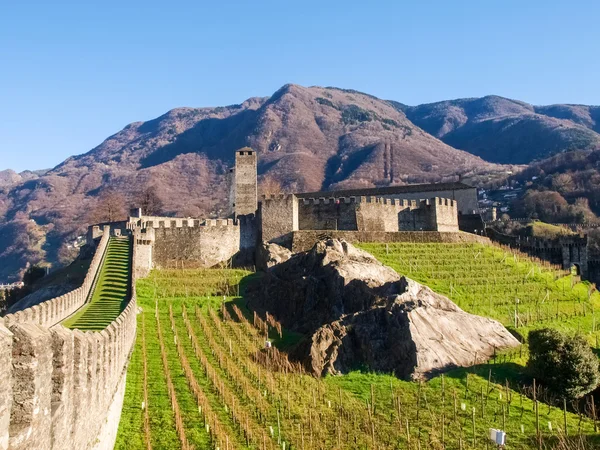 Bellinzona, walled of Castelgrande — Stock Photo, Image