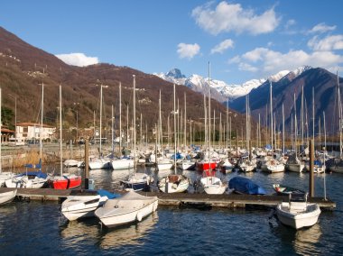 Limana demirlemiş tekneler