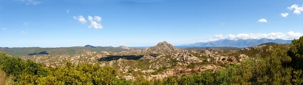 Desierto de agriados —  Fotos de Stock