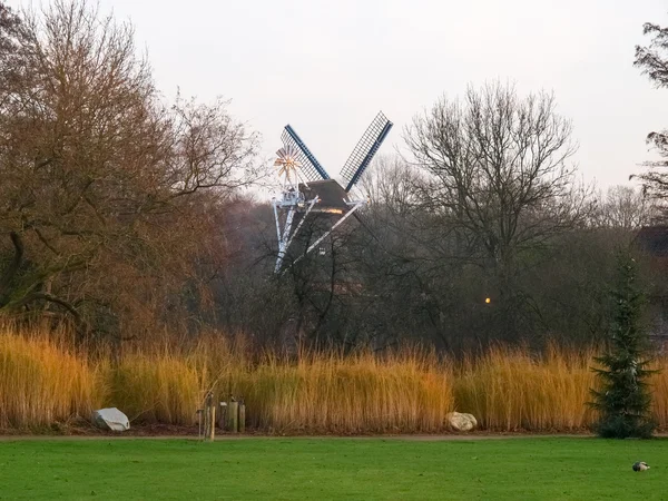 Bad Zwischenahn, väderkvarn i friluftsmuseet — Stockfoto