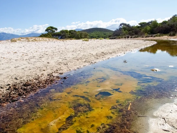 A praia de saleccia — Fotografia de Stock