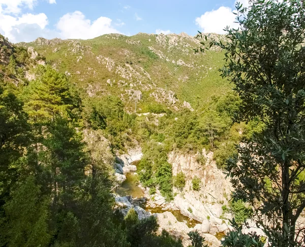 Col de Verde — Stock Photo, Image