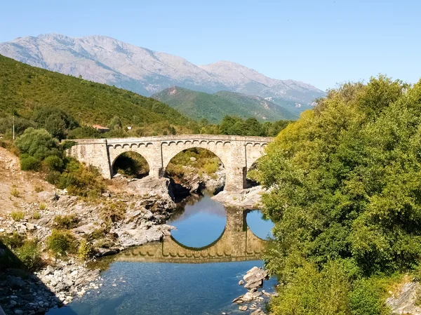 Tavignano gorges