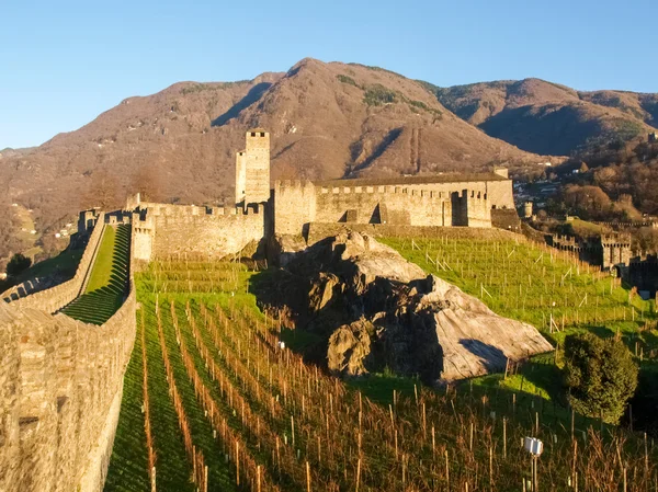 Bellinzona, walled of Castelgrande — Stock Photo, Image