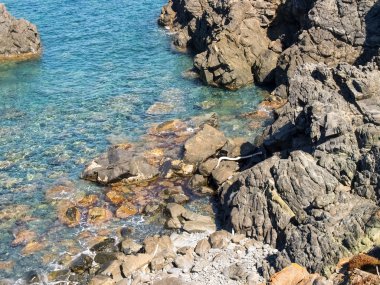 Isle des sanguinares