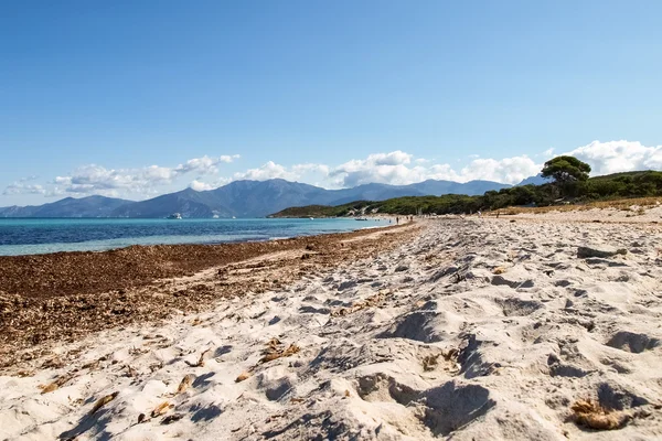 La playa de Saleccia — Foto de Stock