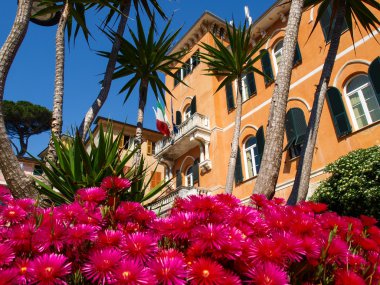 bir monterosso al mare denizde