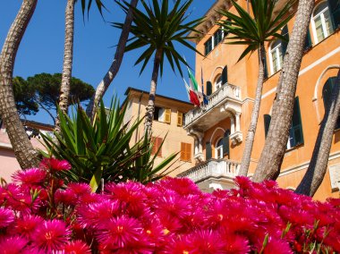 bir monterosso al mare denizde