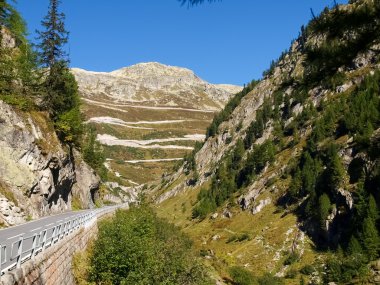 İsviçre Alpleri, Grimsel görünümü pass