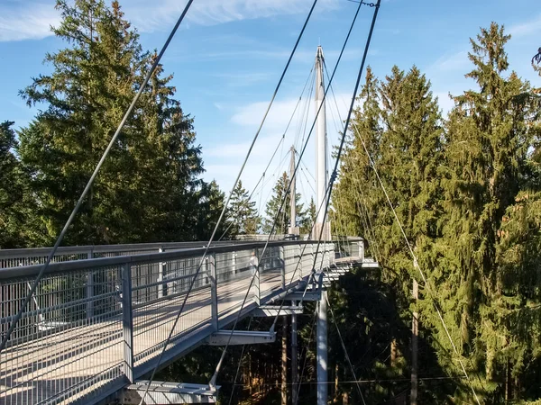 Skywalkpark. Struttura panoramica — Foto Stock