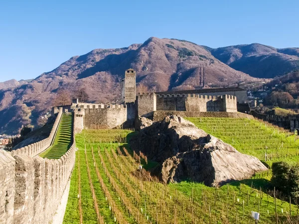 Bellinzona, walled of Castelgrande — Stock Photo, Image