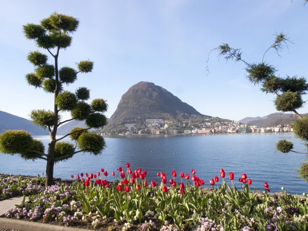 Lugano，帕尔科恰尼，城市花园 — 图库照片