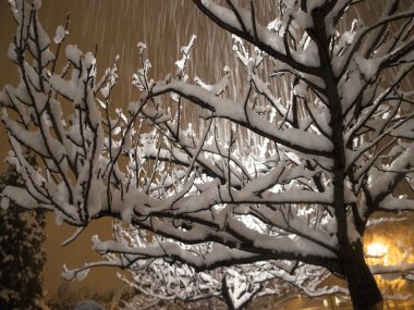 Akşam kar yağışı