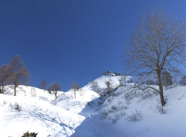 Cima fojorina — Stockfoto