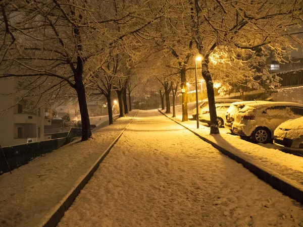 Queda de neve à noite — Fotografia de Stock