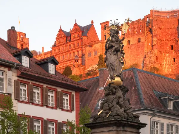 Schloss oberhalb der Altstadt — Fotografia de Stock