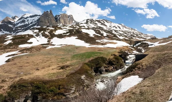 Mountain stream descends lush — Stock Photo, Image