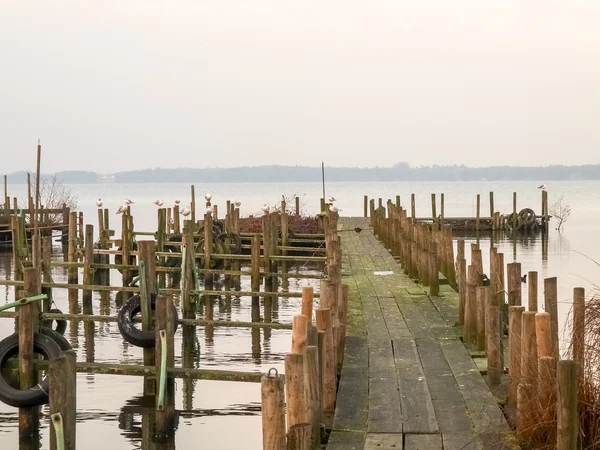 Bad Zwischenahn, passerella sul lago — Foto Stock