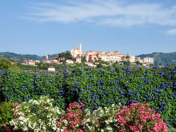 Hilltop village surrounded by olive groves and vineyards — Stock Photo, Image