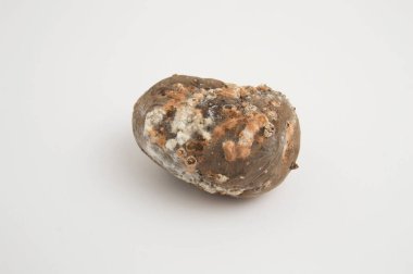 Beyaz arka plandaki şımarık patatesler. izole.