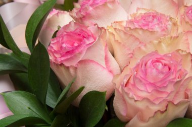 Paketinde yapraklar olan pembe beyaz güller. Anneler Günü, Sevgililer Günü, Kadınlar Günü.