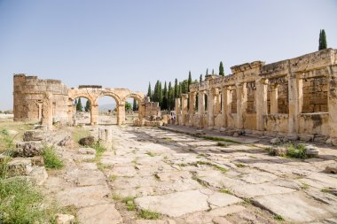 Hierapolis, Türkiye. Domitian kapısı, görünümü City, 86-87 yıl reklam. Colonnade sağ - latrines (umumi tuvalet)