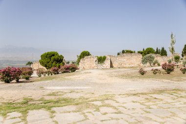 ?????????, ??????. ???? ? ????? ?? ?????????? ???????? ??????