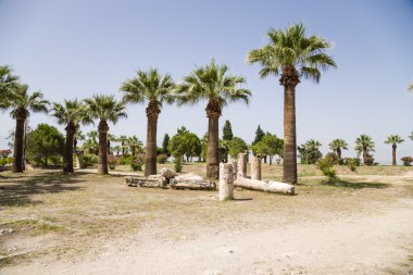 Pamukkale Hierapolis, Türkiye. Park antik kentin topraklarında