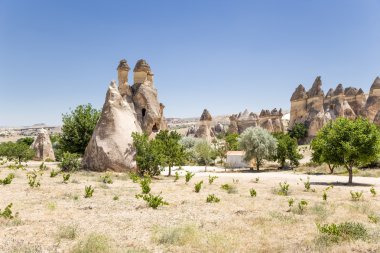 Kapadokya. Taş (Pashabag Valley keşişler Vadisi içinde keşişlerin hücrelerle 