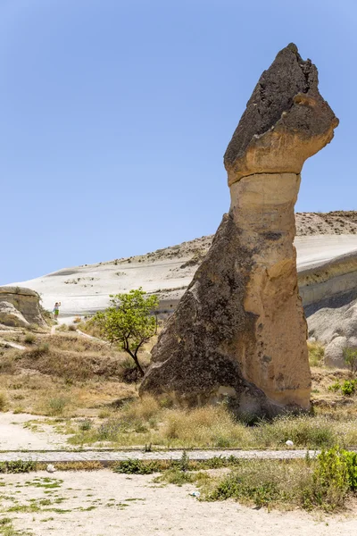 Cappadocia, Turkey. Stone "mushroom" in the Valley of the Monks (Pashabag) — Stock Photo, Image