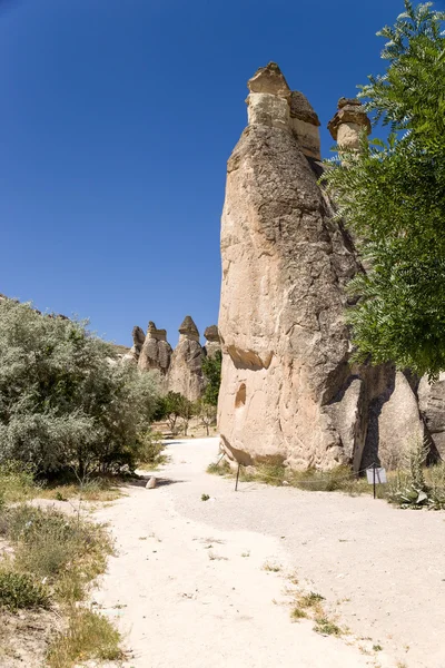 Cappadocia, Turkey. Scenic weathered poles in the Valley of Monks (Pashabag, Cappadocia, Turkey. Scenic weathered poles in the Valley of Monks (Pashabag Valley) — Stock Photo, Image