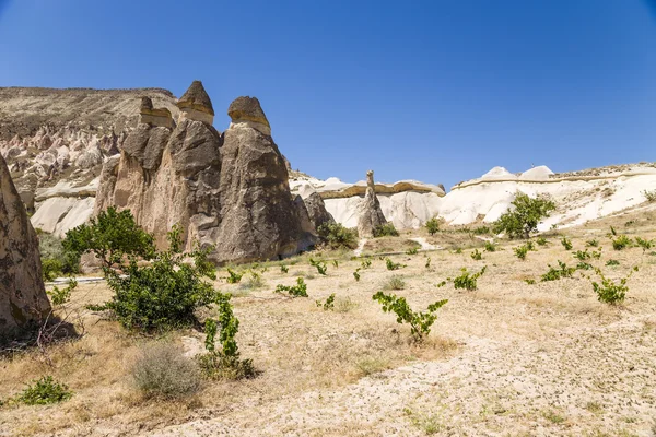Cappadocia, Turkey. Beautiful view of the Pashabag Valley (Monks Valley) — Stock Photo, Image