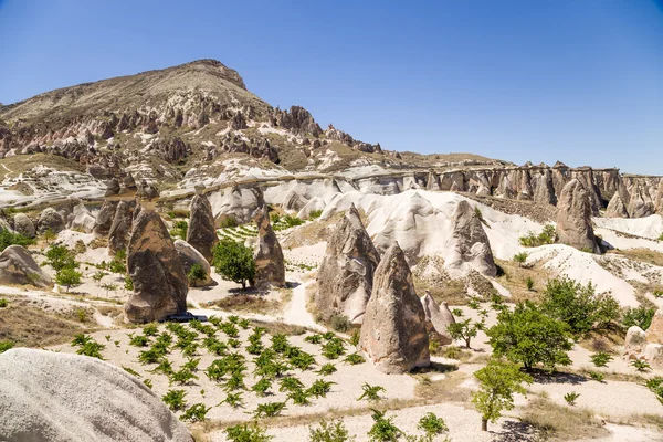 Capadócia, Turquia. Vista panorâmica com pilares de intemperismo no Vale dos Monges (Vale do Pashabag ) — Fotografia de Stock