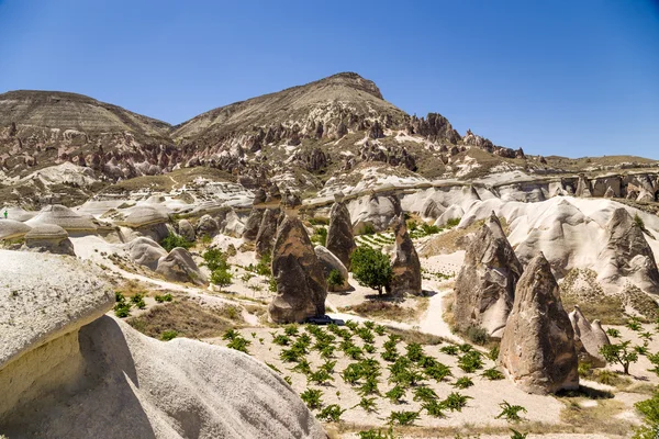 Cappadocia, Turchia. Rocce pittoresche nella Valle dei Monaci (Valle del Pashabag ) — Foto Stock