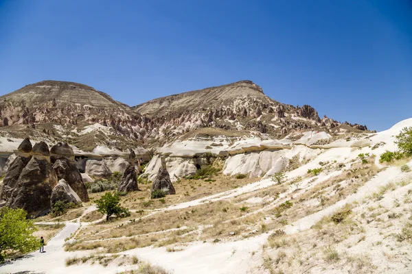 Cappadocia, Turkey. Whimsical work of weathering in the Pashabag Valley (Valley of the Monks) — Stock Photo, Image