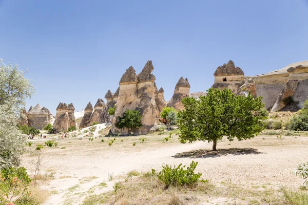 Kapadocja, Turcja. "Polanie" kamień "grzyby" w dolinie mnichów (Dolina Pashabag) — Zdjęcie stockowe