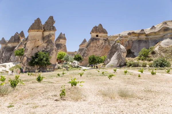 Cappadocia, Turchia. Funghi di pietra "Multihead" nella Valle dei Monaci (Valle Pashabag ) — Foto Stock